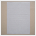 Selbstklebeetiketten SUPRA60H1/P (50x19 mm)