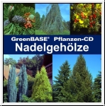 GreenBASE Pflanzen-CD Nadelgehlze