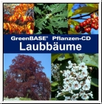 GreenBASE Pflanzen-CD Laubbume