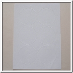 Selbstklebeetiketten SUPRA6R1/P (rund  80 mm)
