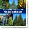 GreenBASE Pflanzen-CD Nadelgehölze
